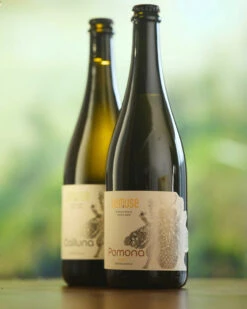 Bemuse Pomona Brut - Non Alcoholic Honey Wine -DRYDRINKER Sales 14 900x 32d7e734 9eda 4494 b373 19157b4252e6