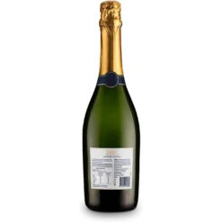 Lyre's Award Winning Amalfi Spritz Grande - Non-Alcoholic Set (Pack Of 3) -DRYDRINKER Sales 51cSFzs6flL. AC SL1500 Copy