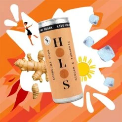 HOLOS Kombucha Soda Ginger & Turmeric [250ml Cans] -DRYDRINKER Sales 61ftVy0sdsL. AC SX679 720x 1d31d6b7 b37a 49b0 b83d 85eea1bd32a9