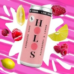 HOLOS Kombucha Soda Raspberry & Lemon [250ml Cans] -DRYDRINKER Sales 71QwMKOGBHL. AC SX679 720x 988478ed f9b5 4aa6 a595 f8ef9259b5ee
