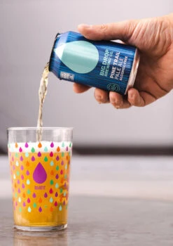 Big Drop Pine Trail Pale Ale - Non Alcoholic IPA -DRYDRINKER Sales BigdropNewGlass 22 4000x 3x.progressive 9102fe32 7ffa 44e1 aa9a 85fb39e88453