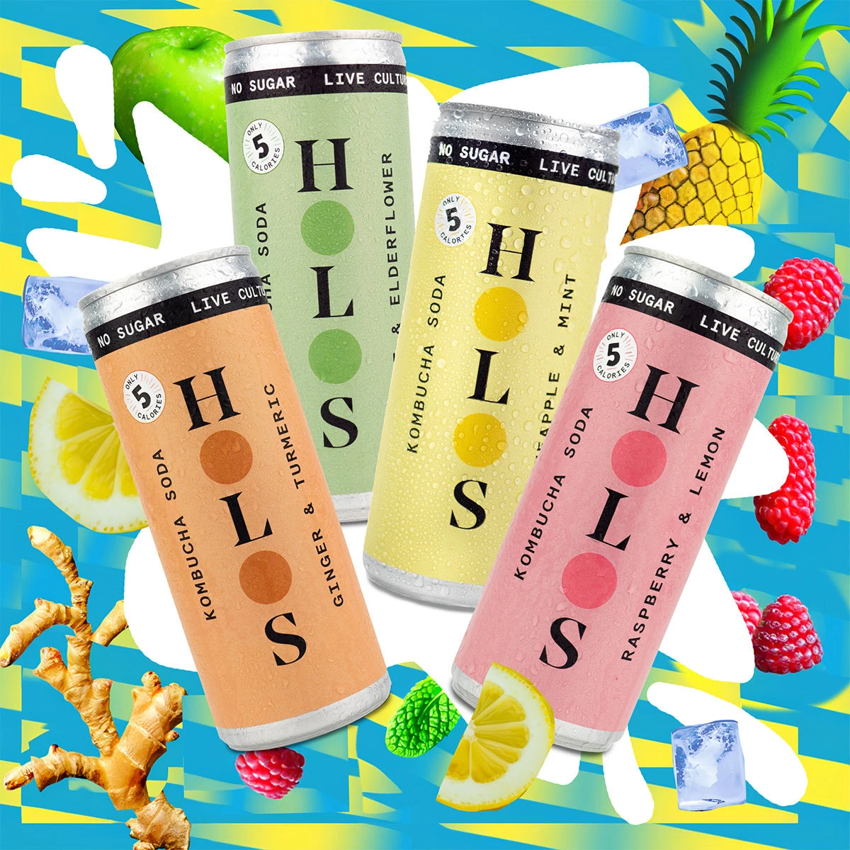 HOLOS Kombucha - Mixed Case 4 HOLOS Kombucha - Mixed Case - Image 2