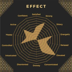 ON Beer - Alcohol Free IPA Functional Beer | Dry Drinker Exclusive Stockists 16 ON Beer - Alcohol Free IPA Functional Beer | Dry Drinker Exclusive Stockists -DRYDRINKER Sales ONBeerEffectWheel