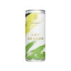 Real Sparkling Tea Dry Dragon 250ml 0.5% ABV -DRYDRINKER Sales TheREALDrinksCo.DryDragon250ml web 2 72adf414 b59b 4ba5 b7a8 ea4b66bbab07