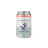 Pentire Seaward & Tonic - Botanical Non Alcoholic Spirit [Cans] -DRYDRINKER Sales Untitleddesign 2024 02 21T142343.085
