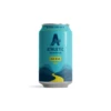 Athletic Brewing Run Wild IPA - Alcohol Free IPA -DRYDRINKER Sales Untitleddesign 75