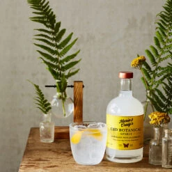 Maria & Craig's CBD Infused Botanical Spirit -DRYDRINKER Sales botanical spirit
