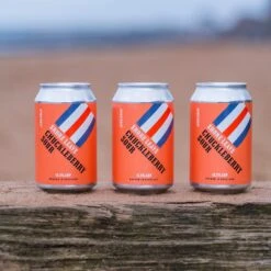 Jump Ship Shore Leave Chuckleberry Sour - Non Alcoholic Sour -DRYDRINKER Sales huckle berry 3