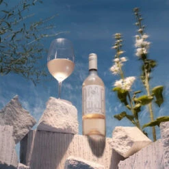 Thomson & Scott Noughty Rosé - Non Alcoholic Still Rosé - Includes Premium White Gift Box -DRYDRINKER Sales rose breeze blocks 295b1b1b ac48 4c24 aba4 32b19392734d